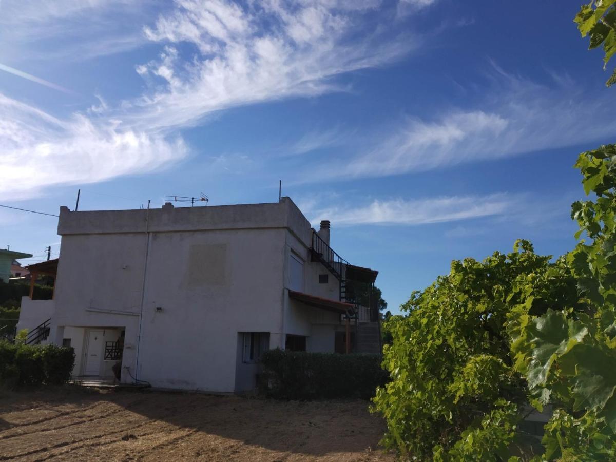 Ellina'S Home - Euboea Island Greece Oxílithos Exterior photo